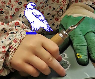 Ateliers parents-enfants, Les rapaces en folie !