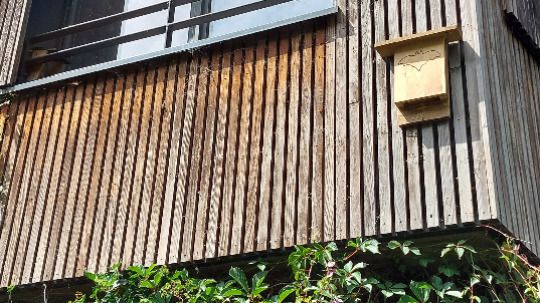 Fabriquez un abri à chauve-souris avec Nos Deux Mains