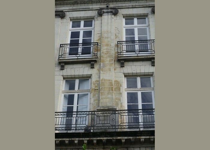 Contre la zinguerie. Un ennemi qui vous veut du bien