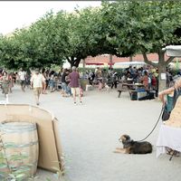 Foire aux camelots