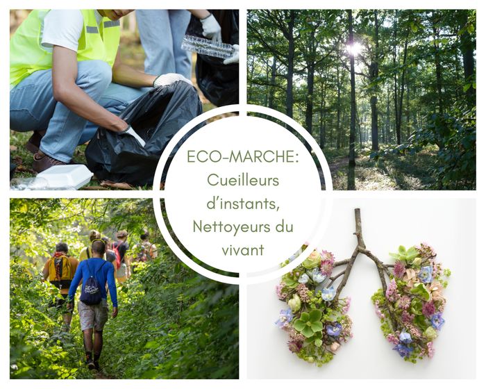 Sortie coorganisée par Île-de-France Nature