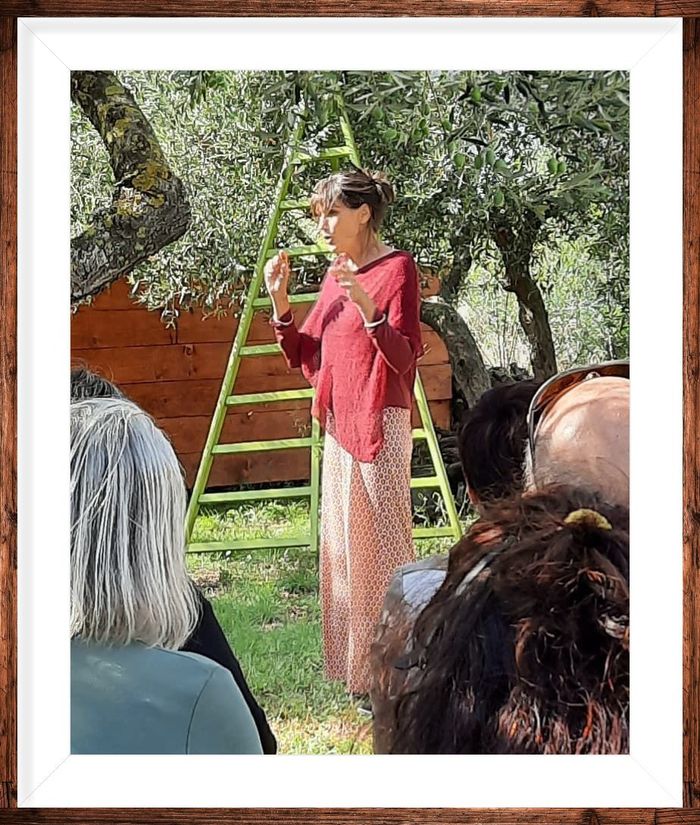 Conte dans les oliviers au Domaine LUPIA