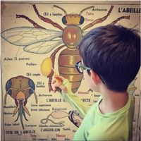 Atelier créatif et visite à la miellerie