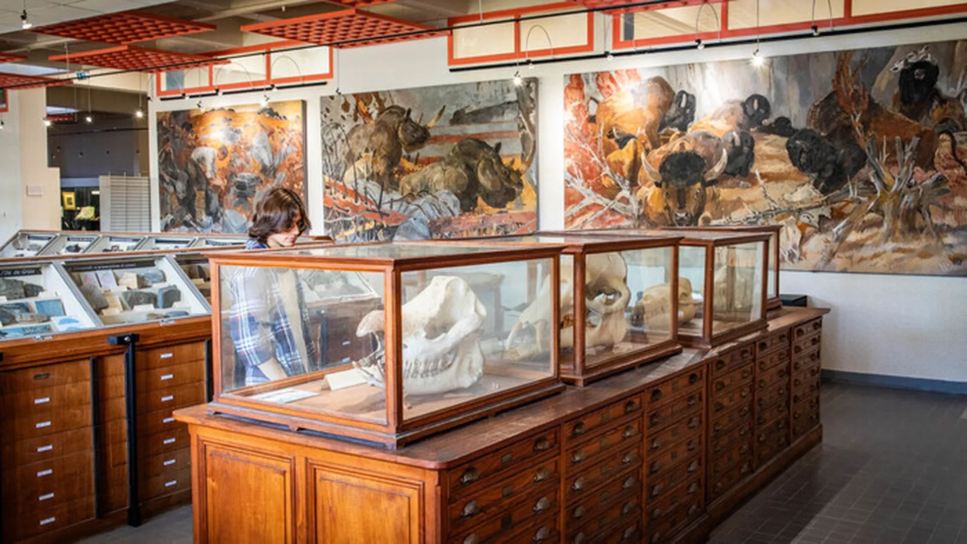 Découverte des collections patrimoniales de l'Université de Rennes