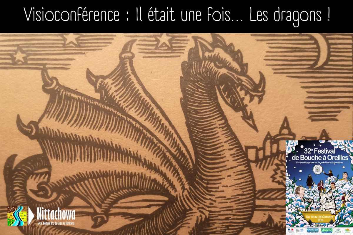 Visioconférence : Il était une fois les Dragons !