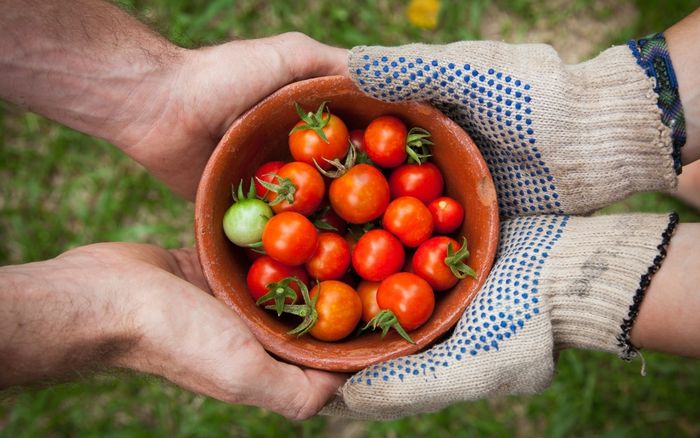 Fresque Agri'Alim : découvrez les enjeux de notre alimentation