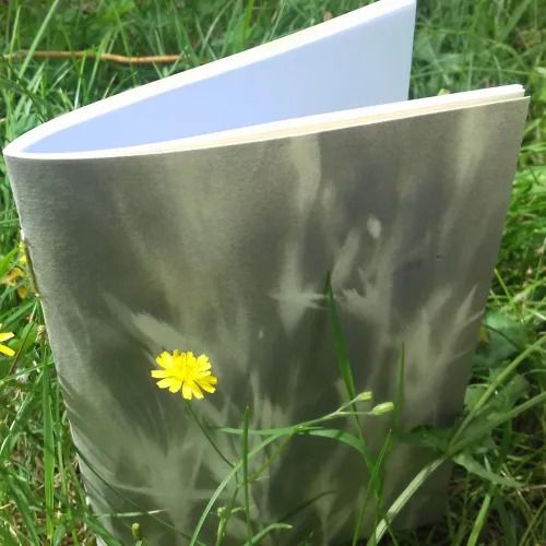 Atelier « Carnet dans l’herbe »