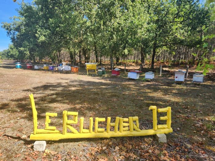 À la découverte du Rucher 13