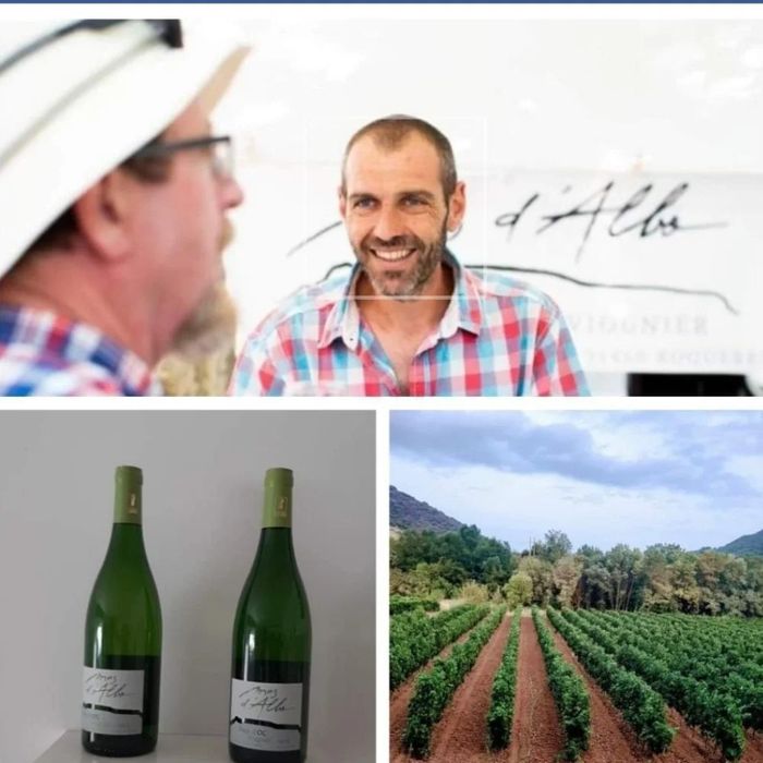 Balade des saveurs- immersion au coeur du vignoble