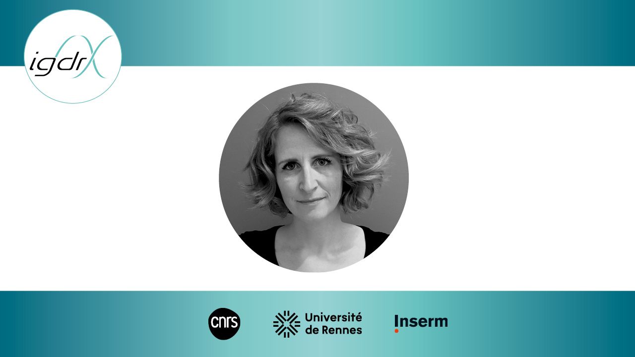 Cet événement est réservé aux membres de l'unité. Outre la traditionnelle assemblée générale, nous aurons le plaisir d'accueillir Marine Grandgeorge, enseignante chercheuse en éthologie.