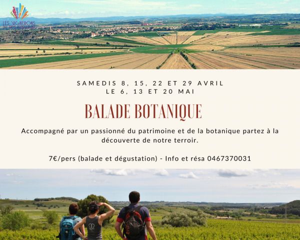Balade botanique
