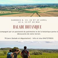 Balade botanique