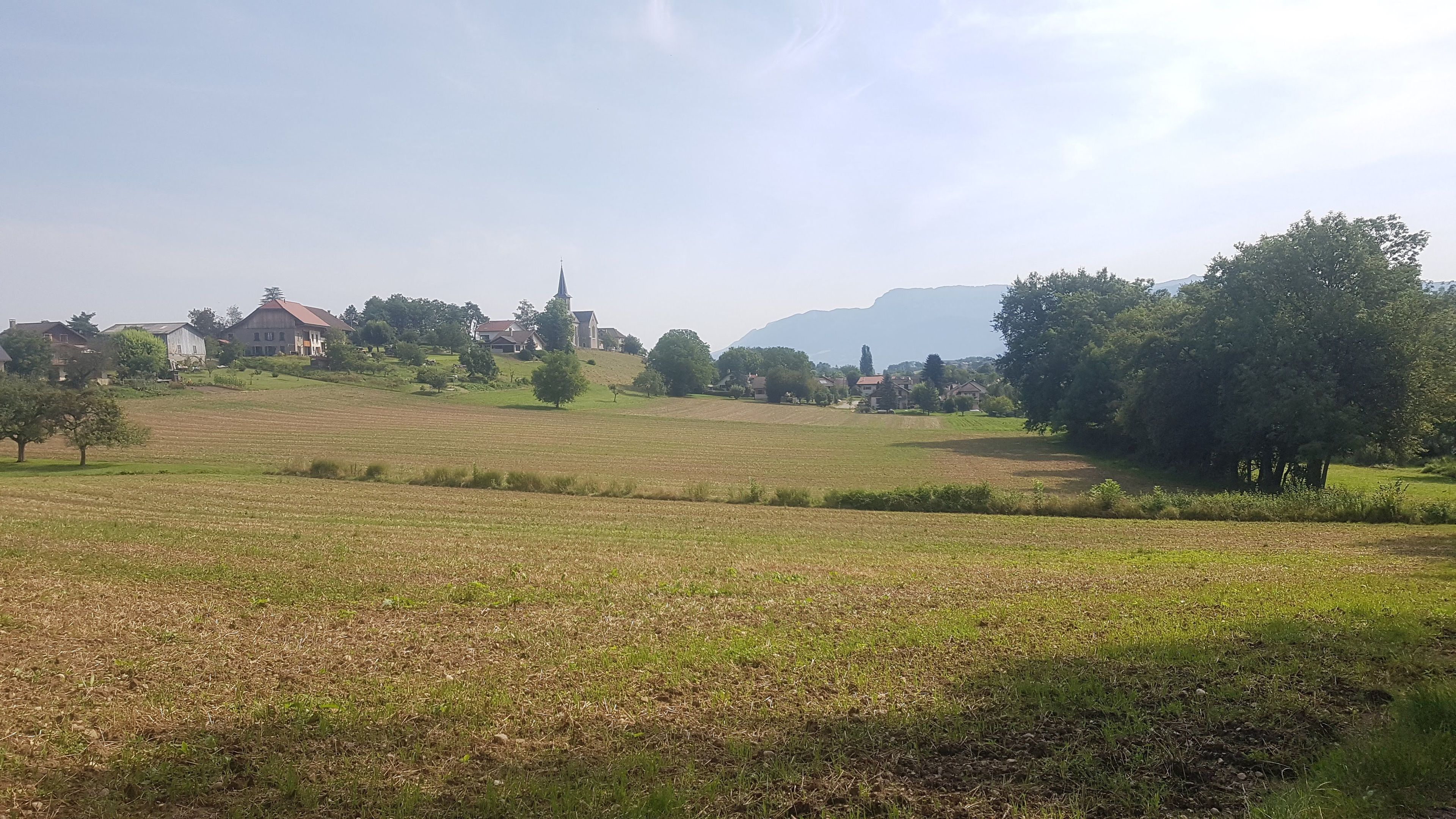 Balade à la découverte des plantes sauvages et autres petites merveilles du vivant à Chavanod (2h)