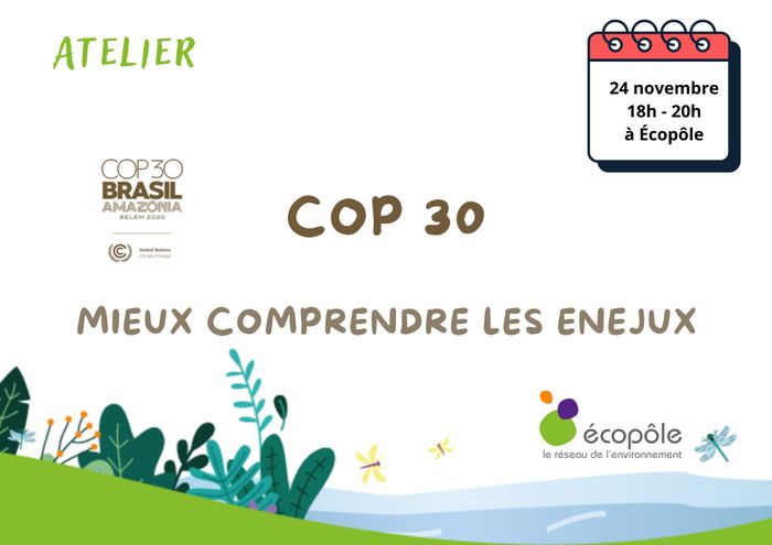 Atelier sur la COP 30