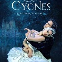Ballet - Le lac des cygnes