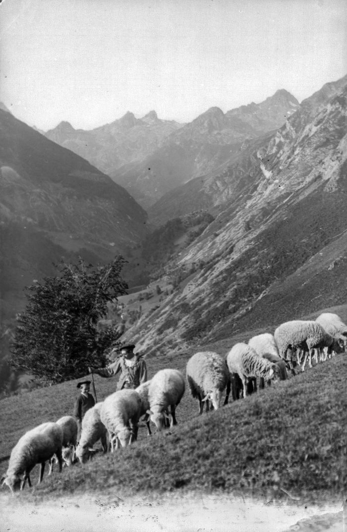 Affiche — « MÉMOIRES DE TRANSHUMANCE » - projection commentée [Archives St-Gaudens]