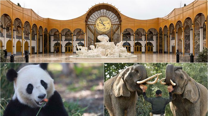 Venez visiter l'un des plus beaux parcs animalier d'Europe !