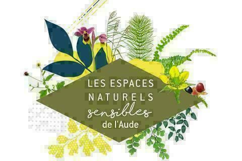 Ens: -Sur les ailes du vent