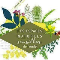 Ens: -Sur les ailes du vent