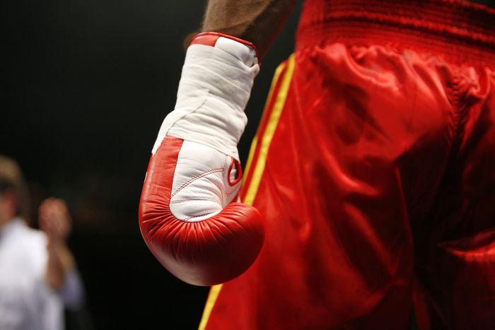 Gala de boxe