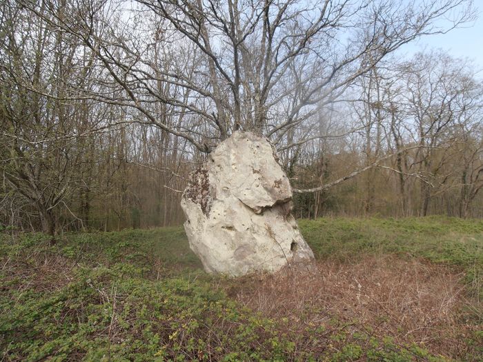 Visuel évènement