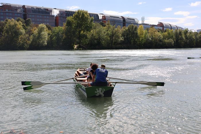 Balade en barques sur le Rhône