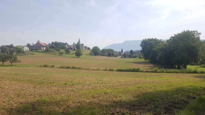 Balade à la découverte des plantes sauvages et autres petites merveilles du vivant à Chavanod (2h)