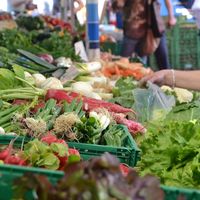 Les marchés de la Vallée du Llech