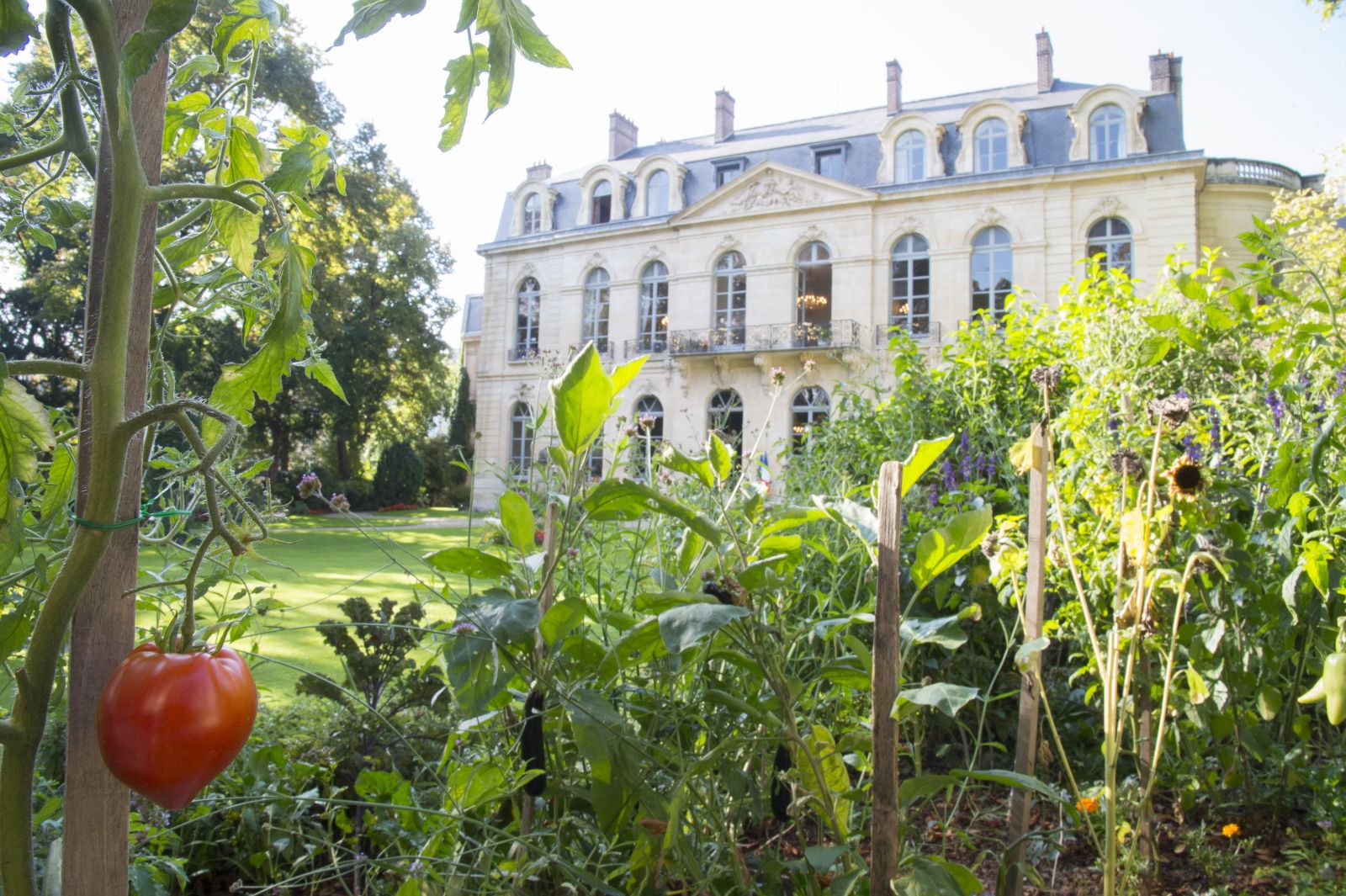 Ministère de l’Agriculture : patrimoine, saveurs et culture en accès libre