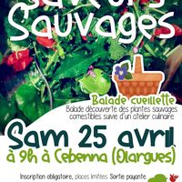 Balade cueillette : Saveurs sauvages !