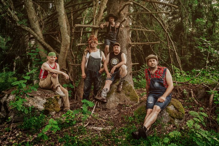 Affiche — Steve'n'Seagulls