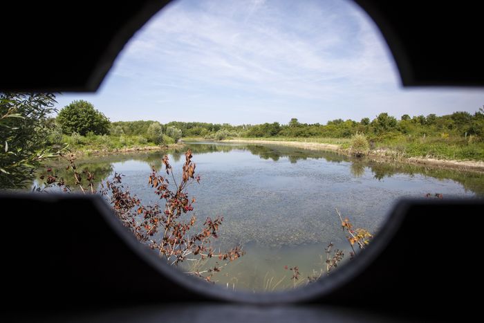 Venez découvrir “ les secrets de la Haute-île ”, un parcours numérique ludique et immersif à explorer depuis votre smartphone.