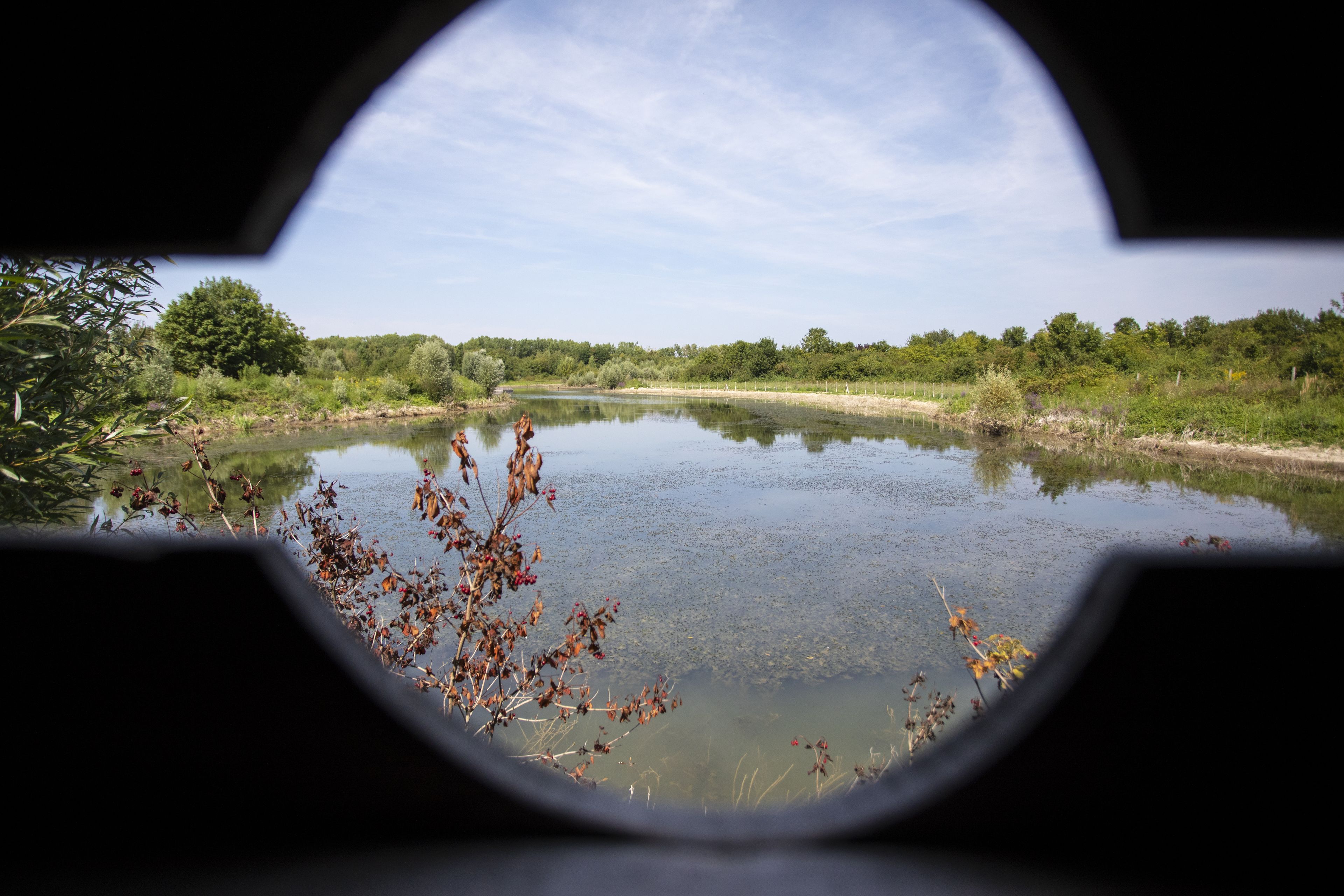 "Les secrets de la Haute ile" : Découverte du parc numérique du parc