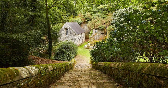 [RAOK AN HAÑV] Balade sur le chant des oiseaux et les dictons en breton
