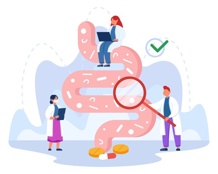 Le microbiote intestinal : nouvel acteur de notre alimentation et de notre santé [Fête de la science]