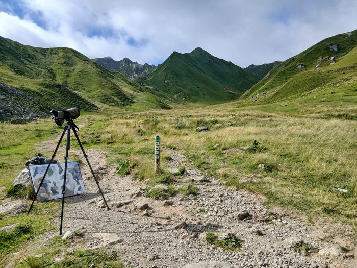 Point information sur les vautours