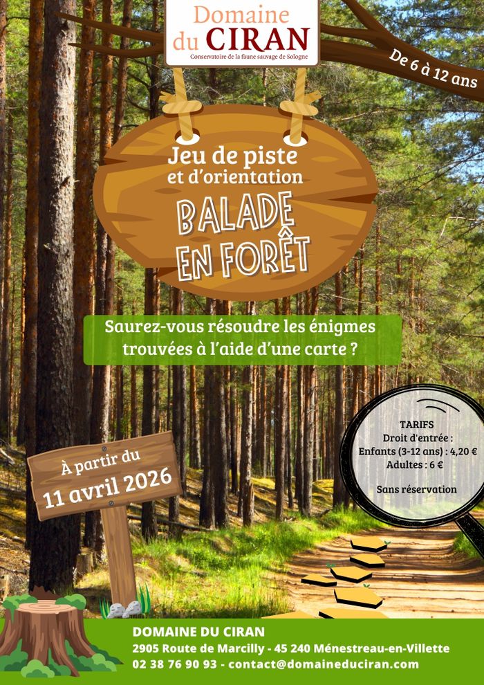 Arrière plan flou de l'image