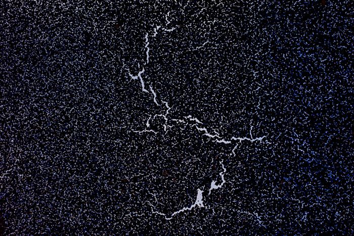 Orbites