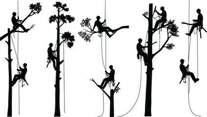 Escapades dans les arbres