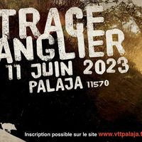 Randonnée Vtt: La trace du sanglier