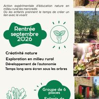 Activité nature - Créativité loin des écrans