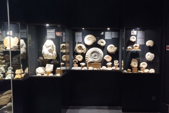 Géologie au Musée de la Mine de La Machine !