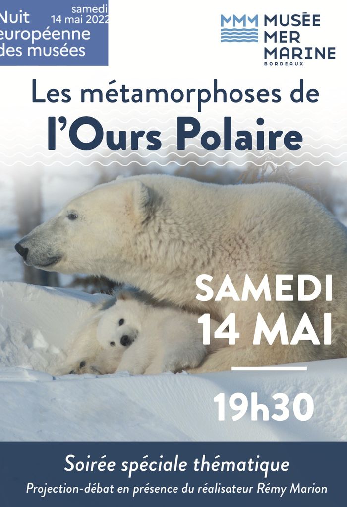 Soirée spéciale thématique : Les métamorphoses de l'Ours Polaire