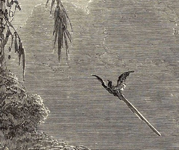 0e6176c7f1974d5fbe7334f438c07948.base.image.jpg