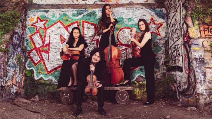 Quatuor Sauvage [musique]