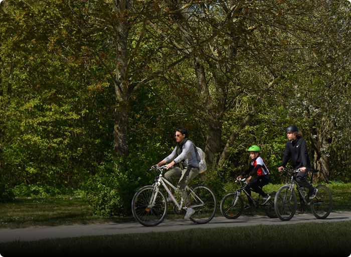 Découvrez la richesse de la biodiversité du parc de la Haute-Île lors d’une balade guidée à vélo à travers ses milieux naturels préservés.