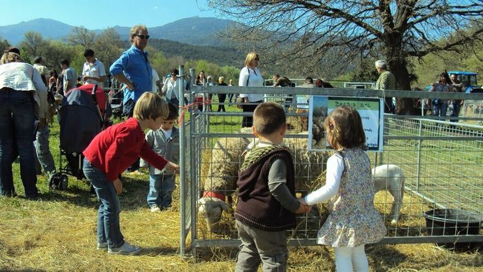 22e Foire des éleveurs producteurs des Albères