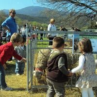 22e Foire des éleveurs producteurs des Albères