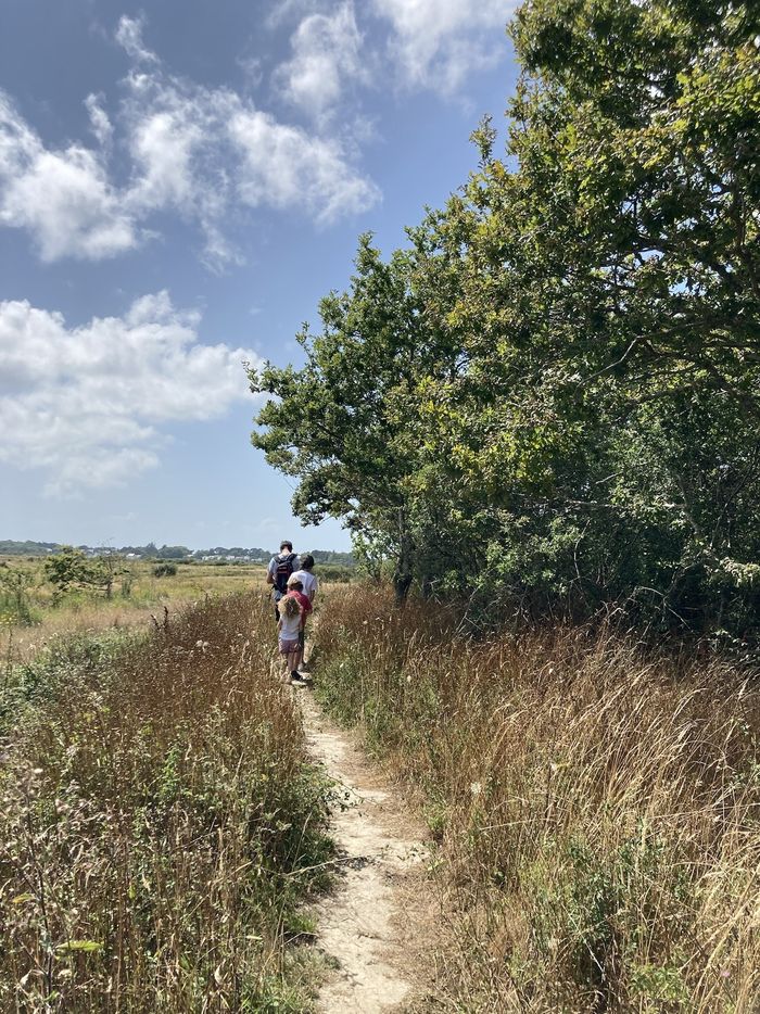 24007710:2026-08-05T07:30:00.000Z.jpg