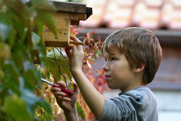Ateliers pour les 7-10 ans : Dinosaures d'aujourd'hui